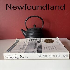 👛 (ANY 4/$20) Novel: THE SHIPPING NEWS by Pulitzer Prize Winner Anne Proulx